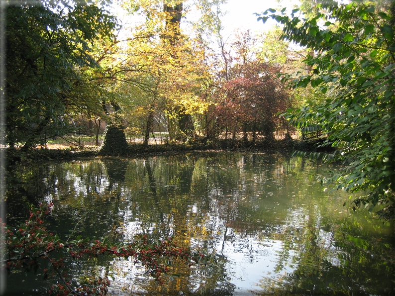 foto Parco Sebellin in Autunno